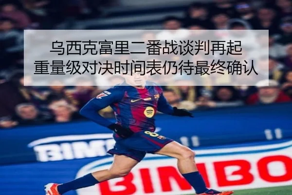 乌西克富里二番战谈判再起 重量级对决时间表仍待最终确认